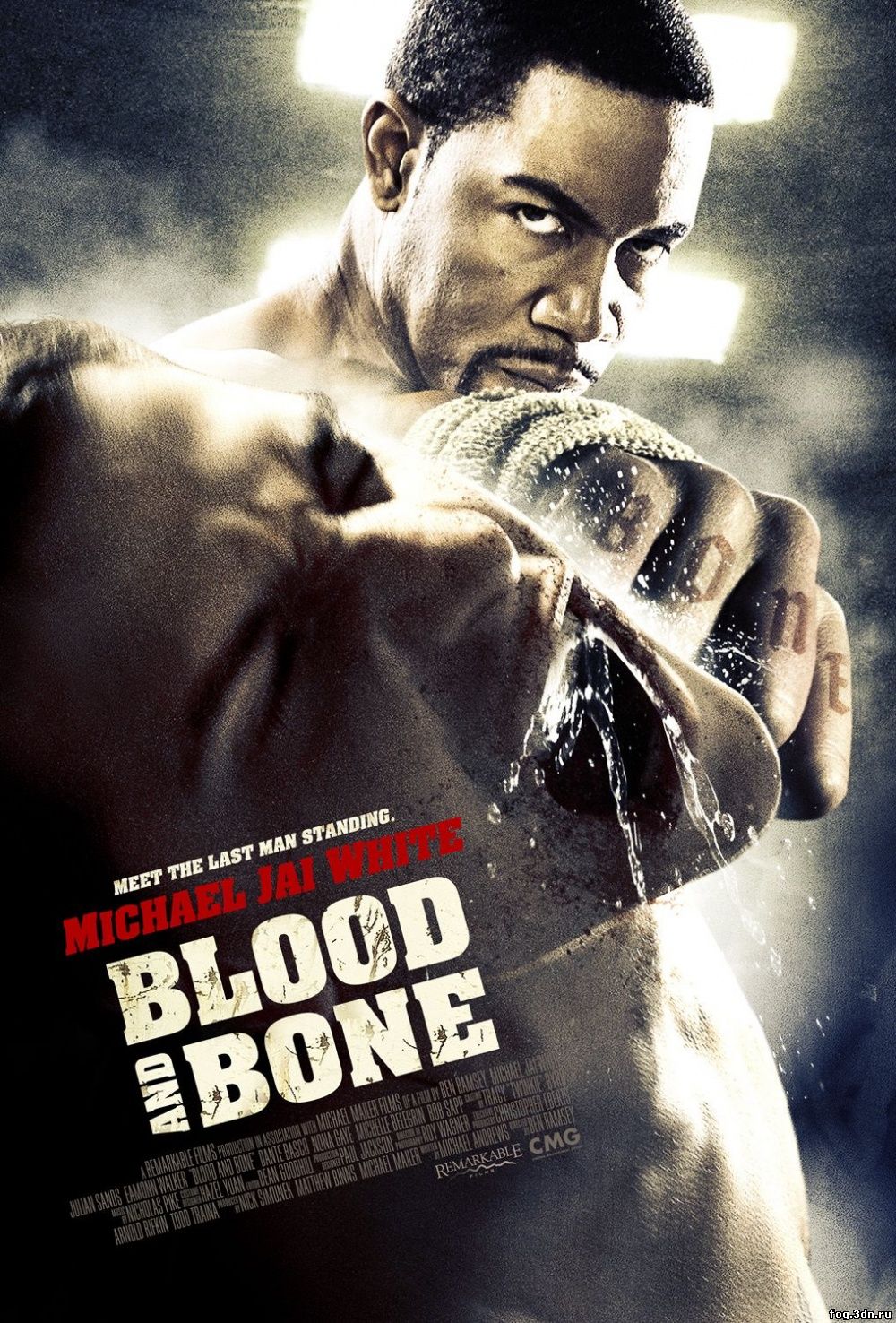 Кровь и кость / Blood and Bone (2009) DVDRip